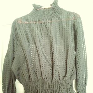 NEW NEVER WORN Fancy Sheer Blouse